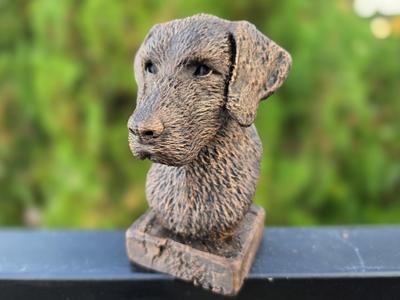 German Wirehaired Pointer Bust – Dog  Statue