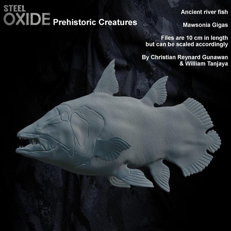 Prehistoric miniature Mawsonia Gigas