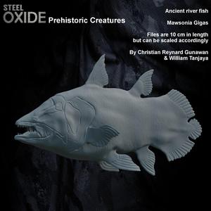 Prehistoric miniature Mawsonia Gigas