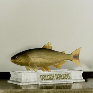 fish golden dorado / Salminus brasiliensis statue detailed texture for 3d printing