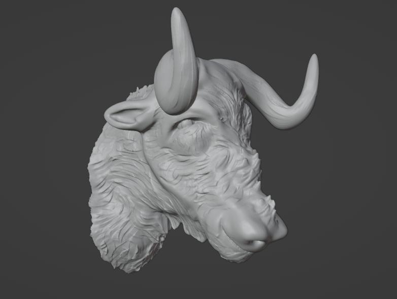 A beautiful wildebeest - Un bonito ñu