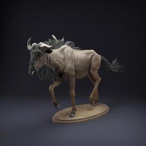 Wildebeest