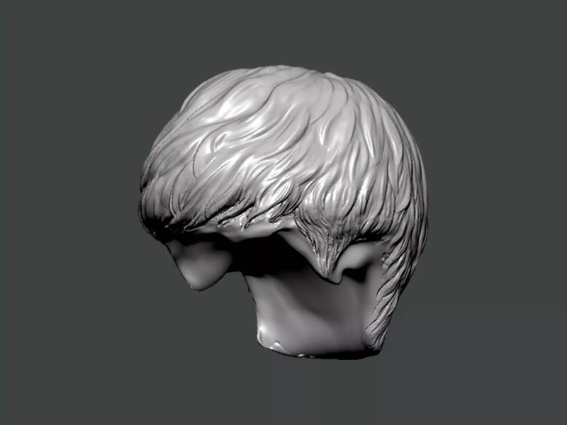 3D Model-HAIR0010 head