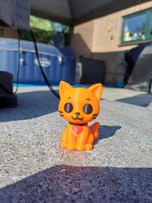Cute Orange Cat with Heart Collar