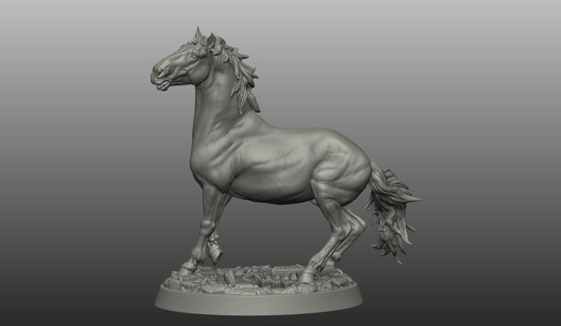 HORSE POSE 17