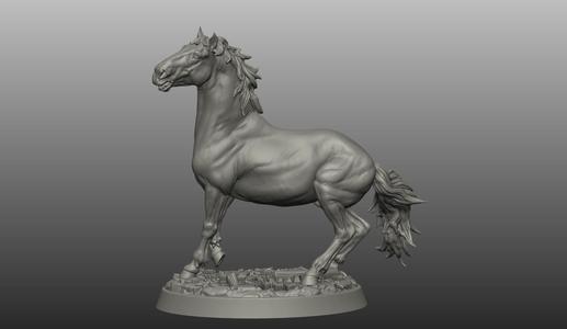 HORSE POSE 17