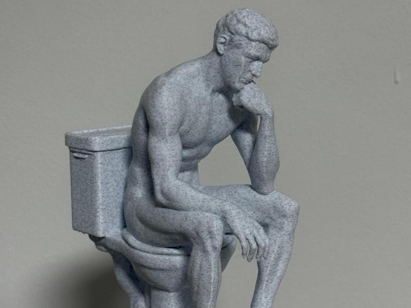 thinker on the toilet