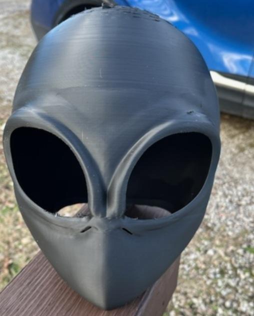 Flatwood Monster/ Alien head