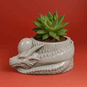 Coiled Dragon Planter Pot – 3D Printable Fantasy Succulent Holder STL