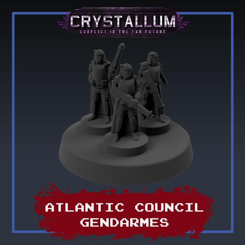 Atlantic Council Gendarmes Infantry