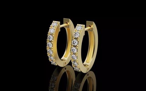 Women Earrings  0048