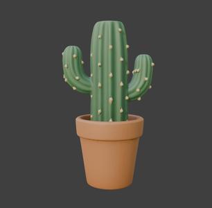 Cactus Planter