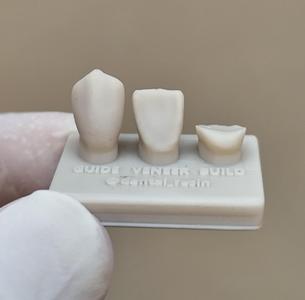 Upper Canine teeth for training