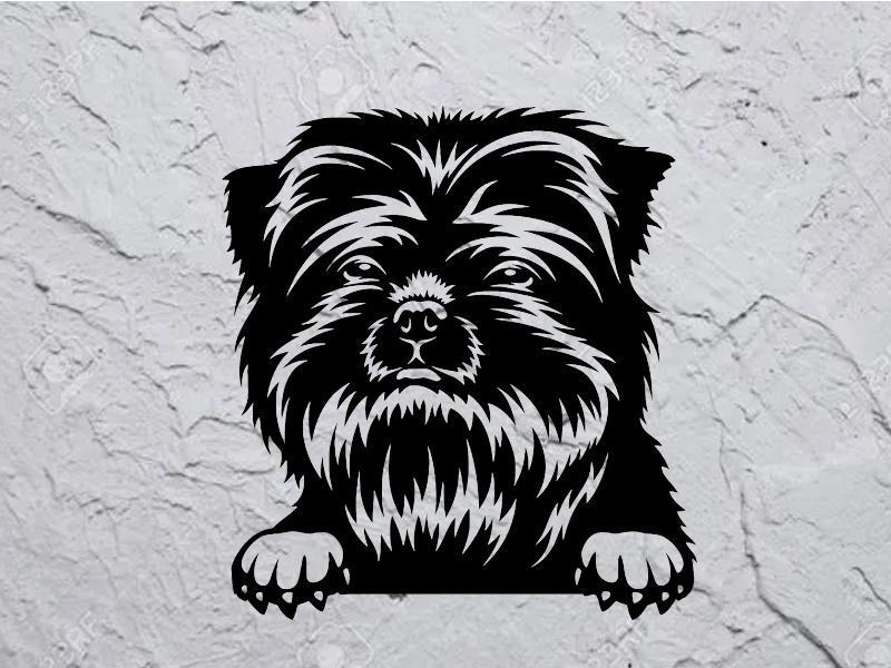 Affen Pinscher dog deco wall pet mural