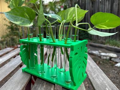 Plant Test Tube Propagation Station