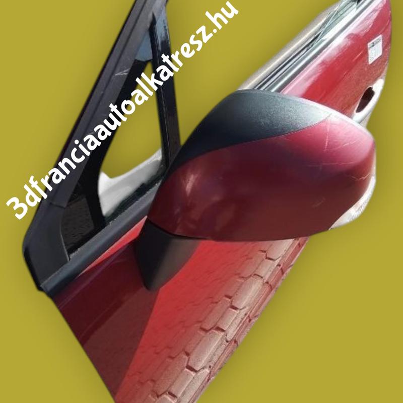 Renault Scenic 3 Mirror Cover 963730016R