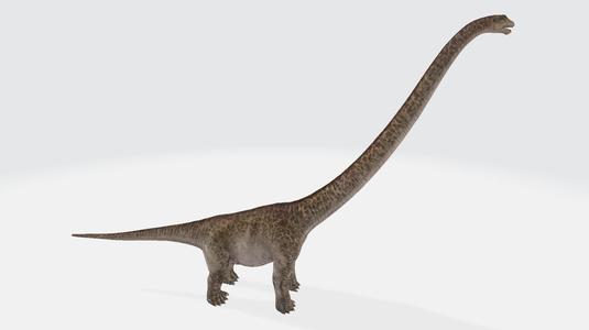 Mamenchisaurus