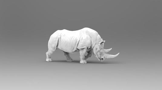 Rhino