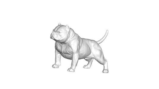 Bully Dog