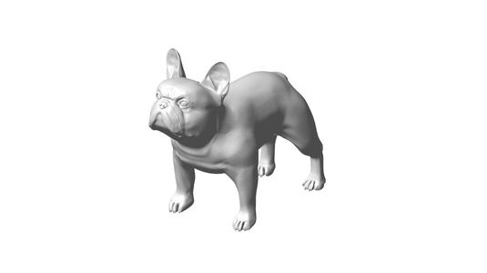 buldog