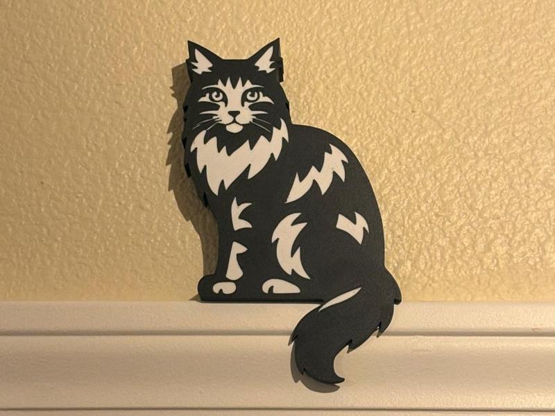 Maine Coon Door Topper