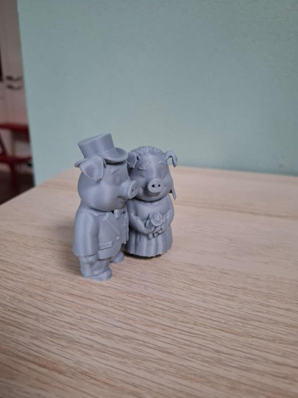 Ham & Marry – the cutest newly-pigged couple