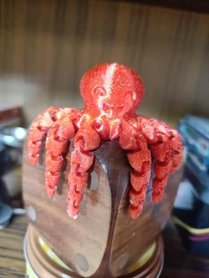 FLEXI Smile Octopus