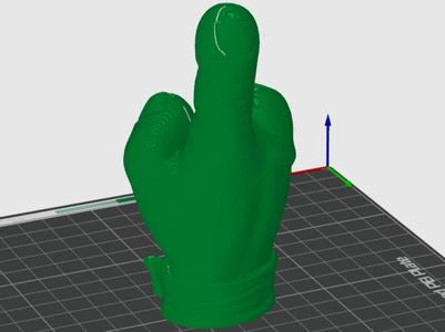 Turtles Ninja Fuck Off Finger usable for FPV Fin