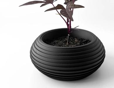 The Frons Planter Pot with Drainage: Tray & Stand Included | Modern and Unique Home Decor for Plants and Succulents | STL File   