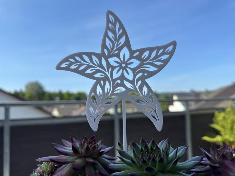 Floral Starfish with Flower Stick
