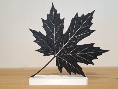 Autumn Leaf