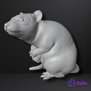 🐀 Realistic Rat Figure - Printable Collectible Model