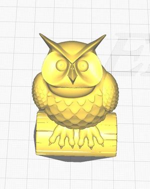owl looking up