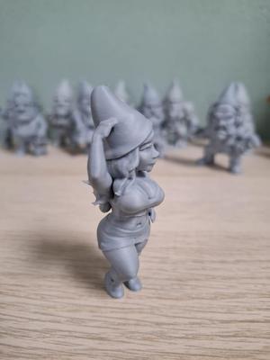 Pin-Up Gnomelette