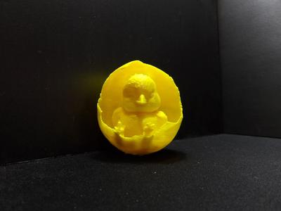 A chick hatching out of an egg.