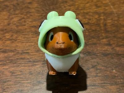 Hoodie Capybara