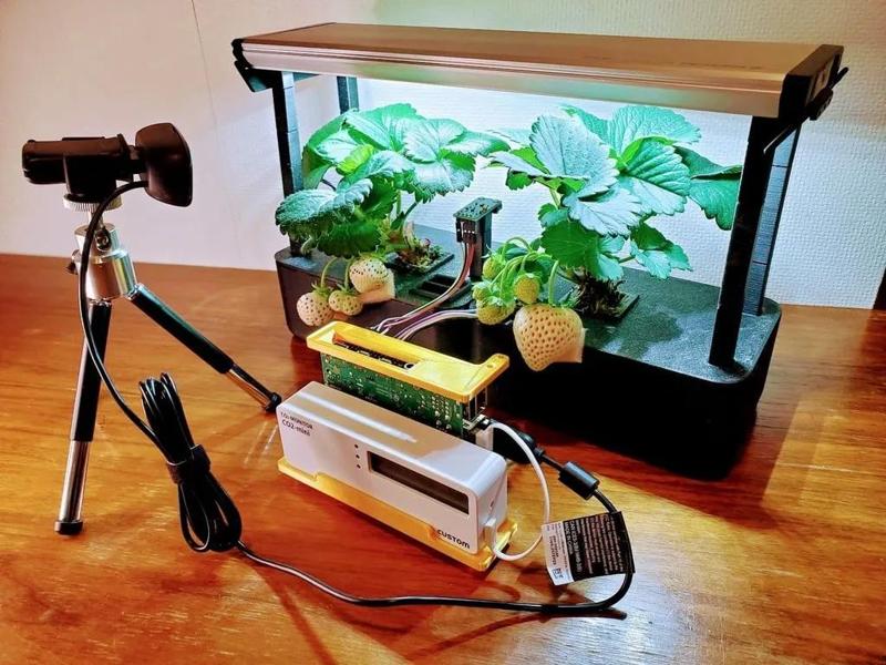 Sensable (IoT hydroponic planter)   