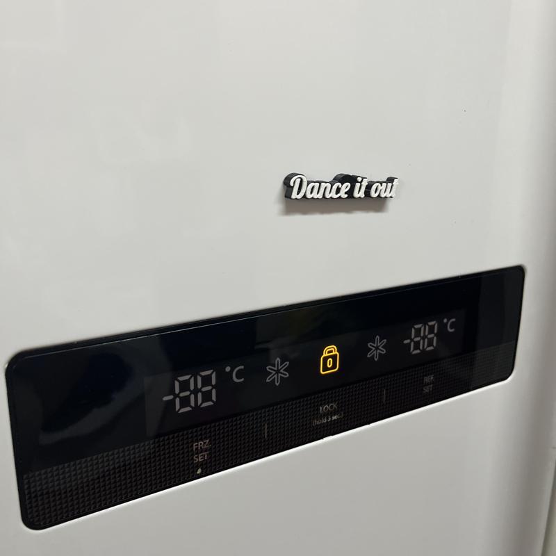 Fridge Magnetic Sentence - Dance it out