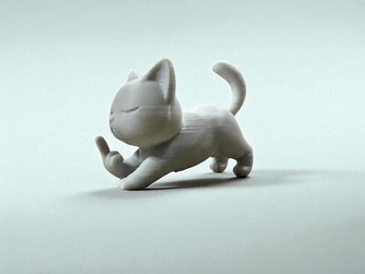 Stretching Yoga Kitty with Attitude