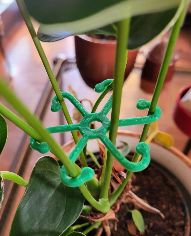 Plant clip hook support
