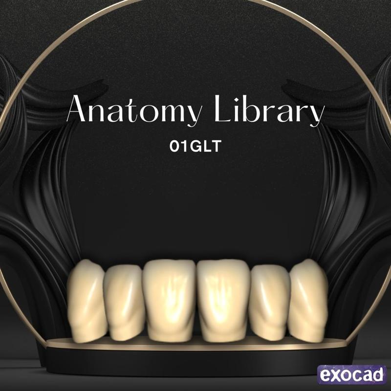 Dental Library 01GLT