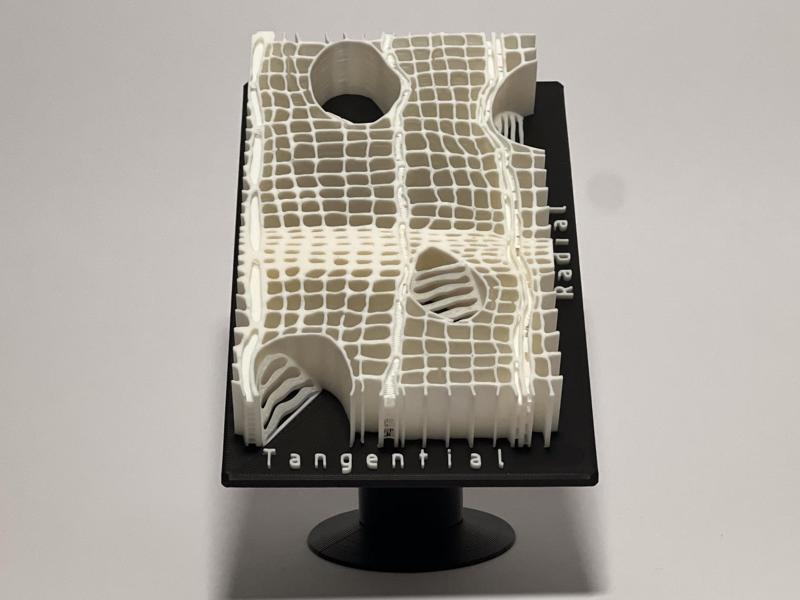 Microscopic model of hardwood