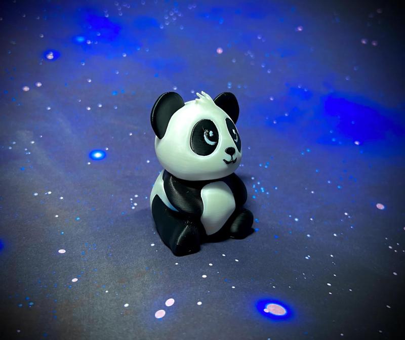"Pandy" The Baby Panda