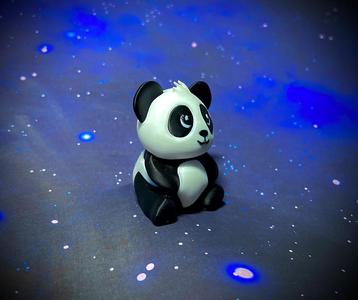 "Pandy" The Baby Panda