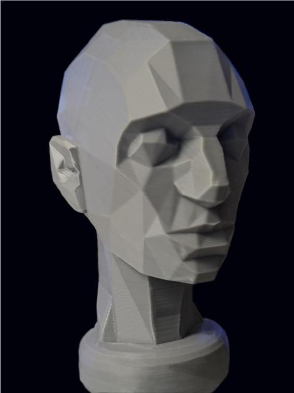 Poseable "Asaro" Head Low Poly Head For Artist Study Model