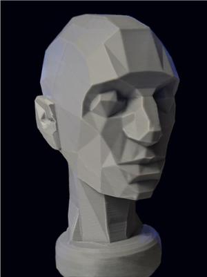 Poseable "Asaro" Head Low Poly Head For Artist Study Model
