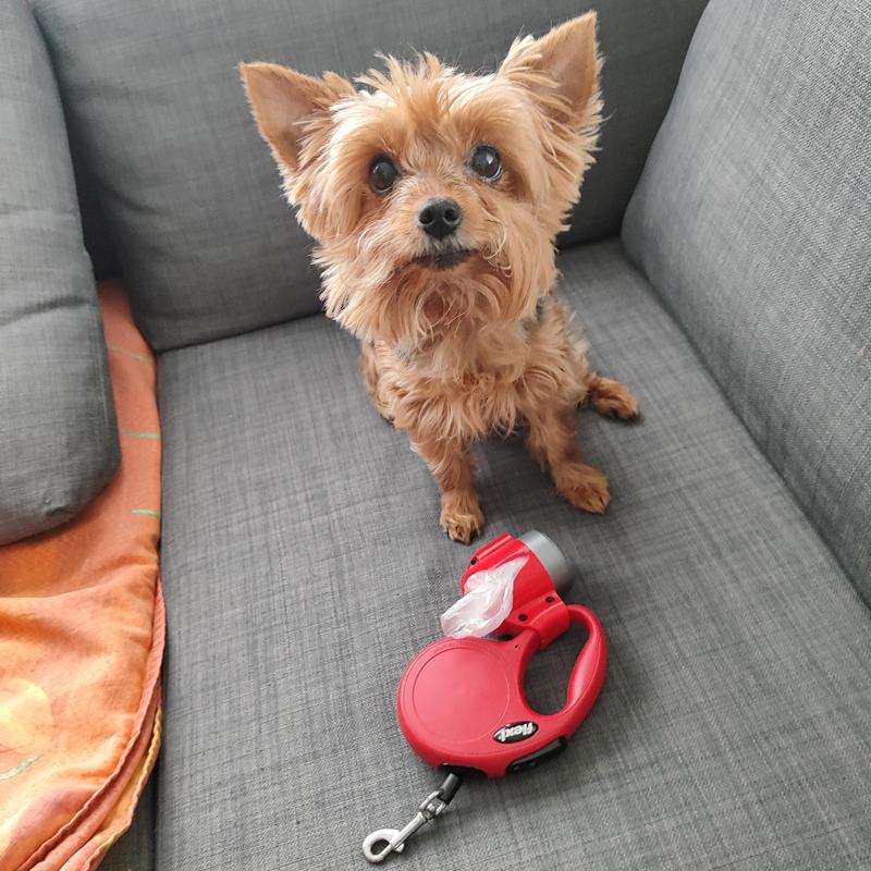 DOG POOP BAG CONTAINER FOR FLEXI 2 m