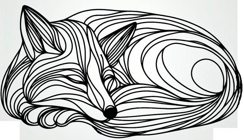 Wall art - Sleeping fox