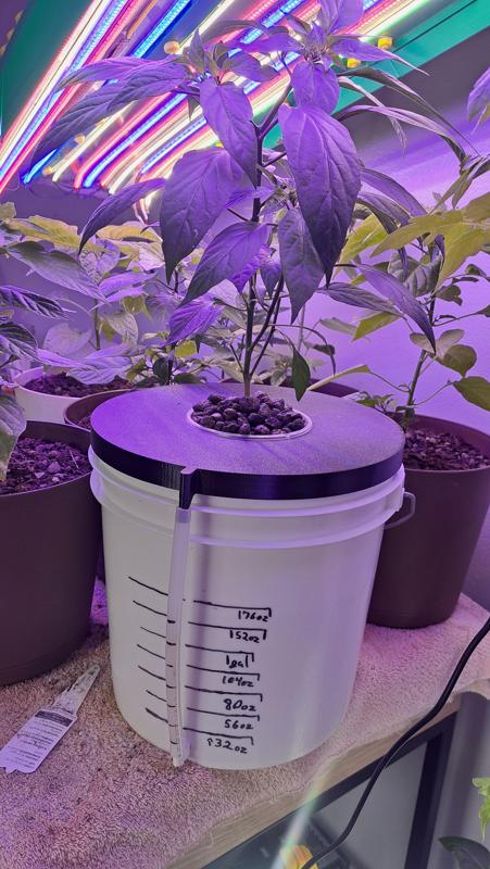 2.5gal Bucket Kratky Hydroponic Lids & Water Level Indicator. Multiple pot options