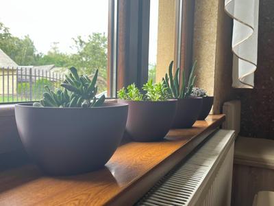 Bowl shaped flower pot - planter